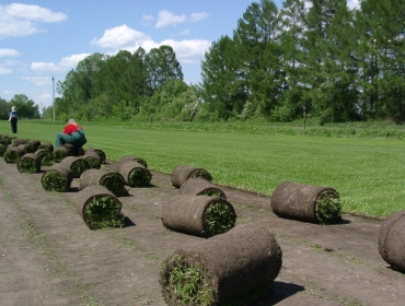 Биоматы для газонов в Москве